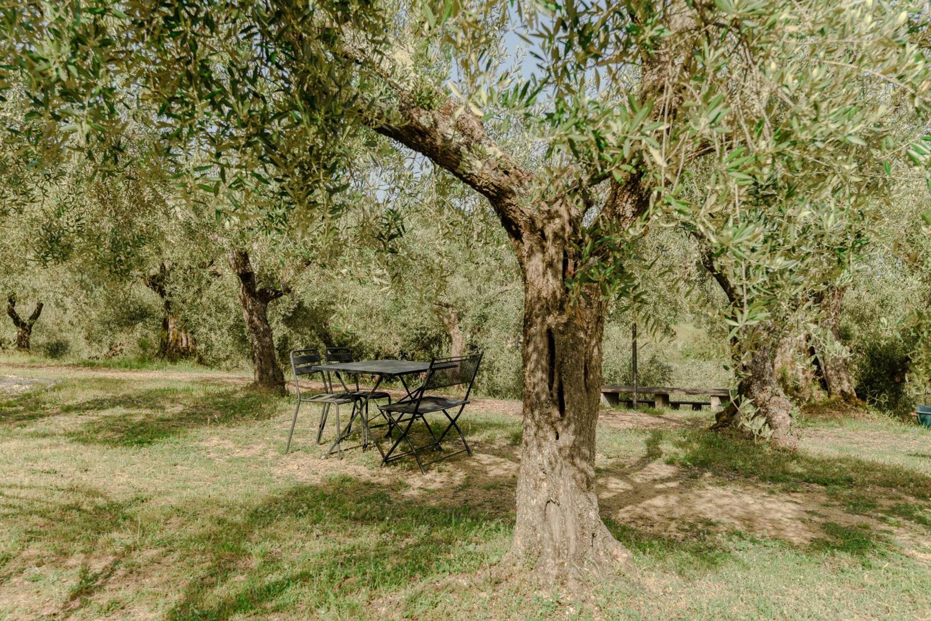 Agriturismo Il Mulino Delle Canutole Magione Exterior foto
